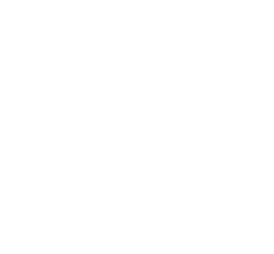 AERIELJN
